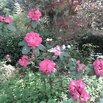 Chateau Des Bretonnieres Sur Vie - Et 4 Personnes 3*
