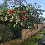 Chateau Des Bretonnieres Sur Vie - Et 4 Personnes 3*