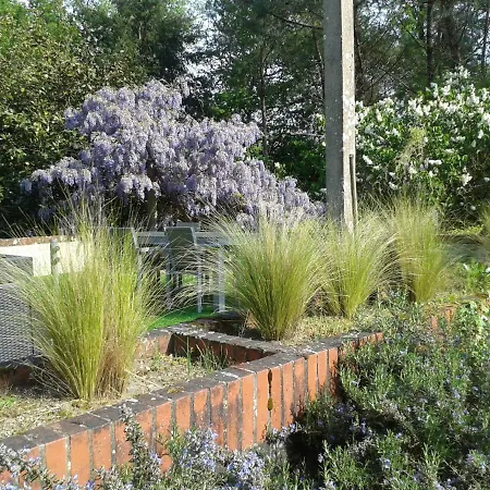 Chateau Des Bretonnieres Sur Vie - Et 4 Personnes Commequiers