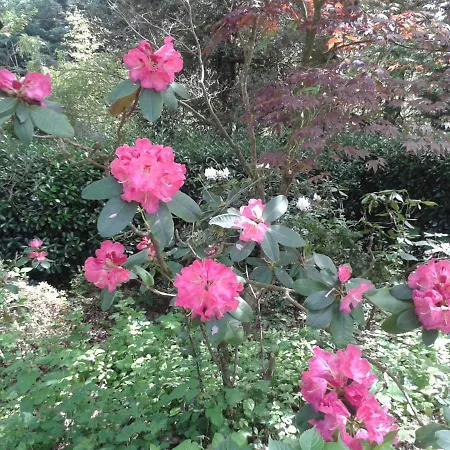 Chateau Des Bretonnieres Sur Vie - Et 4 Personnes 3*