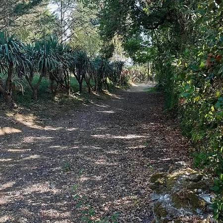 Bed & Breakfast Chateau Des Bretonnieres Sur Vie - Et 4 Personnes Commequiers