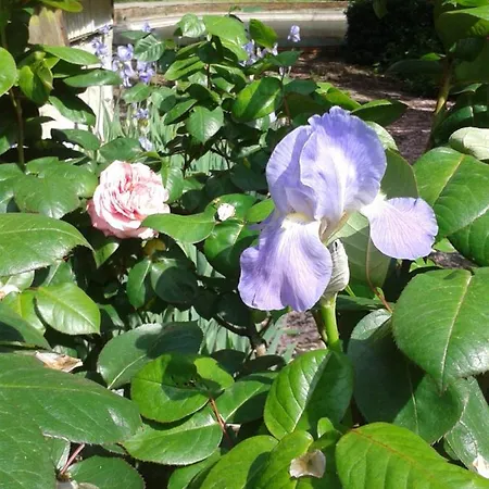 Chateau Des Bretonnieres Sur Vie - Et 4 Personnes Bed & Breakfast Commequiers