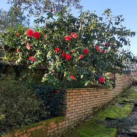 Chateau Des Bretonnieres Sur Vie - Et 4 Personnes 3*