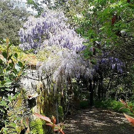 Chateau Des Bretonnieres Sur Vie - Et 4 Personnes לינה וארוחת בוקר