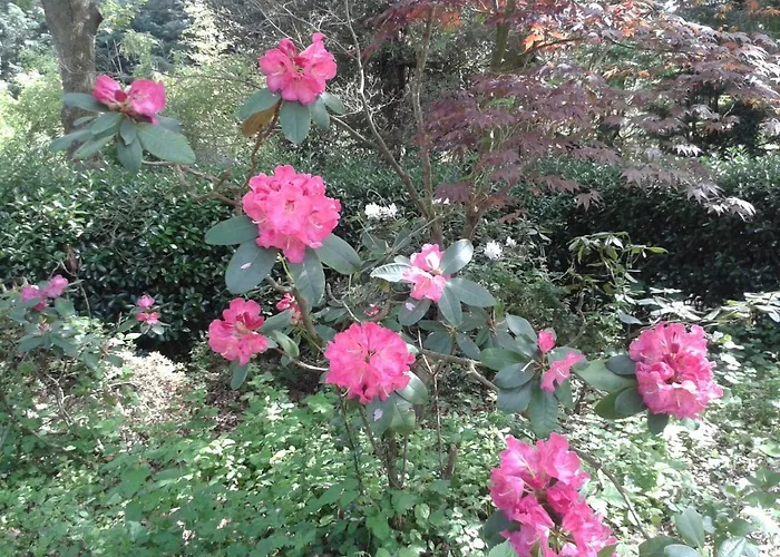 Chateau Des Bretonnieres Sur Vie - Et 4 Personnes 3*